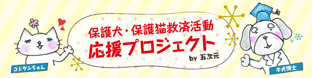 保護犬・保護猫救済活動応援プロジェクト　by五次元